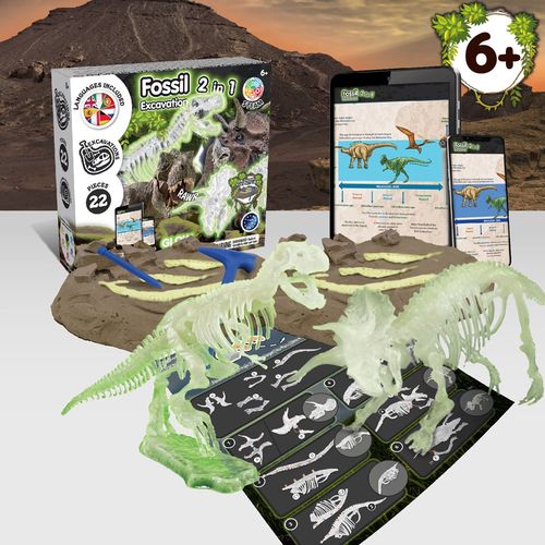 2 in 1 Fossil Excavation Kit I. Educatief spel voor kinderen 2 in 1 Fossil Excavation Kit I. Educatief spel voor kinderen