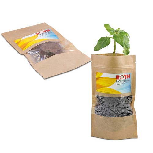 Plante verte en sachet avec graines - Souci Plante verte en sachet avec graines - Souci