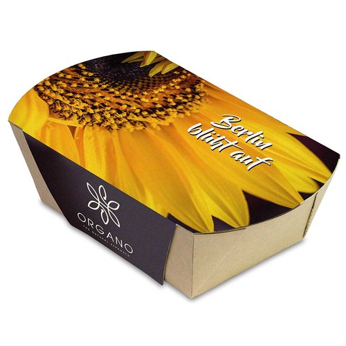 Jardinière en papier bambou avec graines - Marguerite Jardinière en papier bambou avec graines - Marguerite