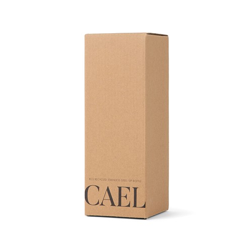 VINGA Cael RCS SS drinkfles 600ML VINGA Cael RCS SS drinkfles 600ML