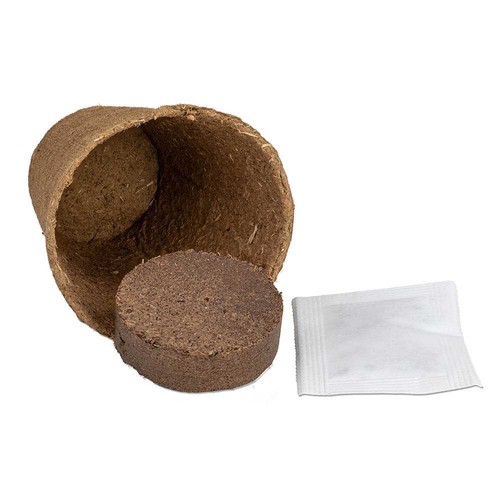 Cultivation set with seeds - chives