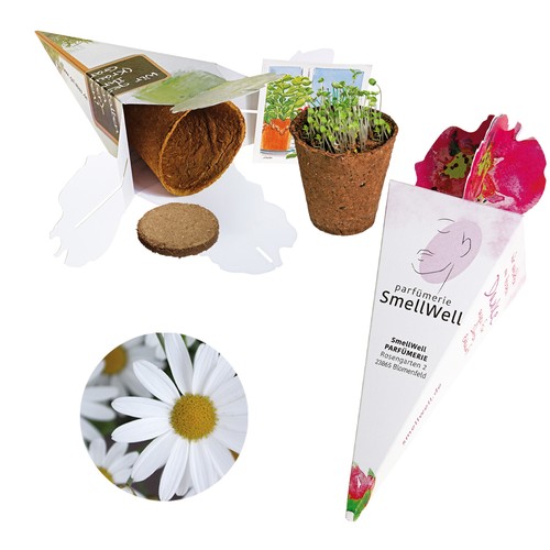 Sac magique - kit de graines - Marguerite