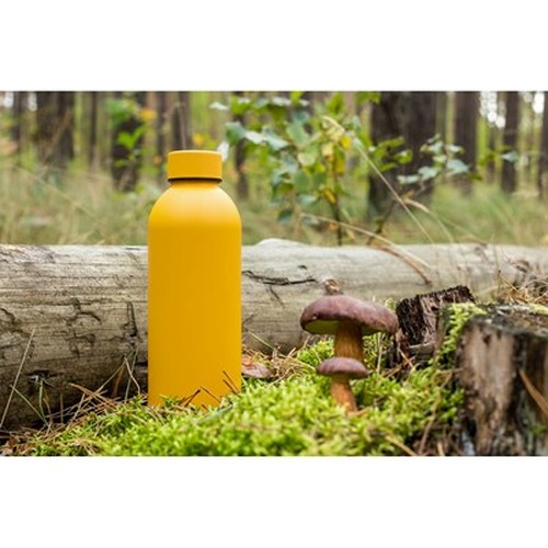 Bouteille isotherme 500 ml | Terryl