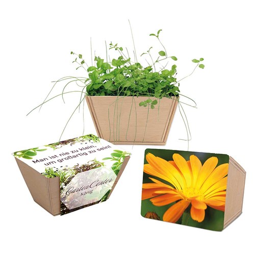 Mini-jardinière bois avec graines - Souci