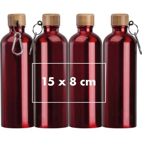 Gourde en acier inoxydable avec mousqueton, 750ml