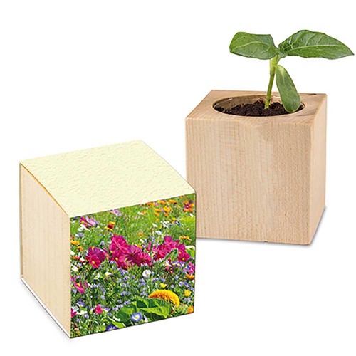 Houten plantenset - Zomerbloemen mix Houten plantenset - Zomerbloemen mix