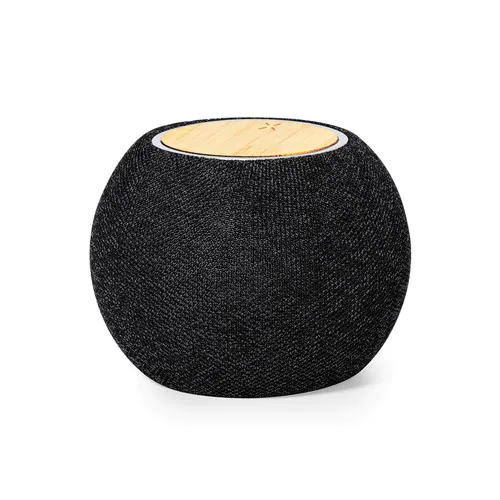 Charger Speaker Cedric Charger Speaker Cedric