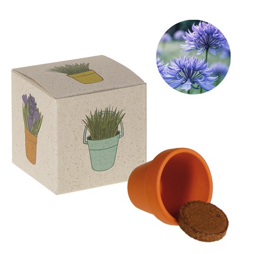 Cube de graines promotionnel (papier d'herbe) - Bleuet Cube de graines promotionnel (papier d'herbe) - Bleuet