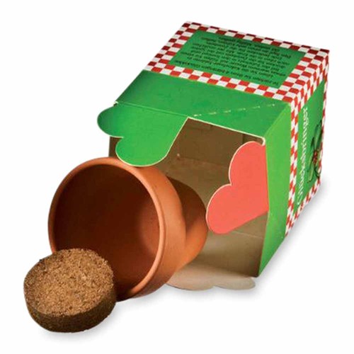 Geluk in een doos - Plantset - Rode klaver Geluk in een doos - Plantset - Rode klaver