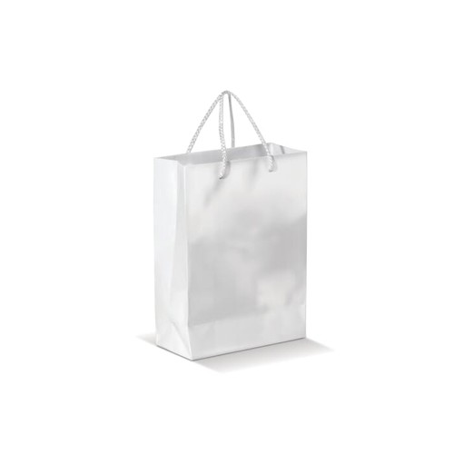 Paper bag large