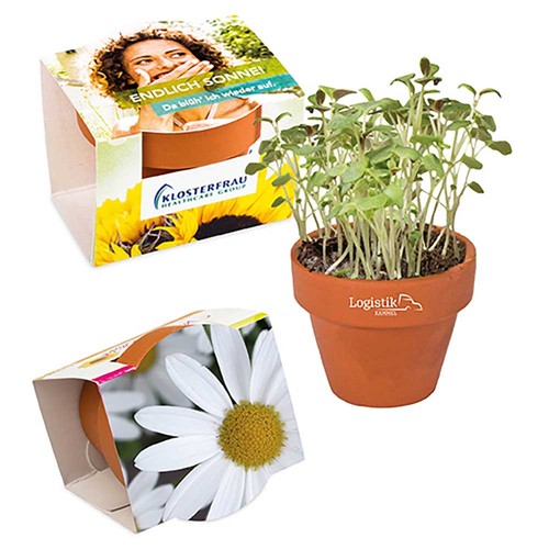 Mini pot terre cuite, fourreau complet - Marguerite