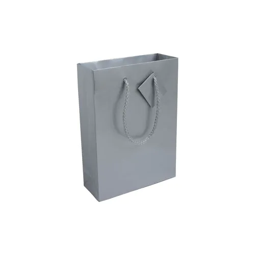 157 g/m2 laminated paper shopping bag with gusset and bottom reinforcement, string handles 157 g/m2 laminated paper shopping bag with gusset and bottom reinforcement, string handles