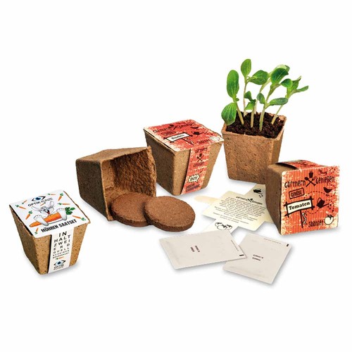 Vegetable Garden Seed Set (large) - Arugula