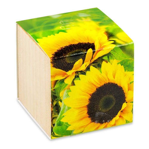 Pflanz-Holz - Standardmotiv - Sonnenblume - ohne Lasergravur Pflanz-Holz - Standardmotiv - Sonnenblume - ohne Lasergravur