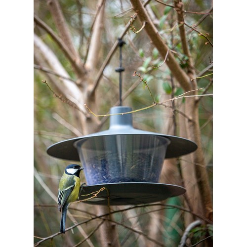 Bird feeder to hang, place, enjoy!