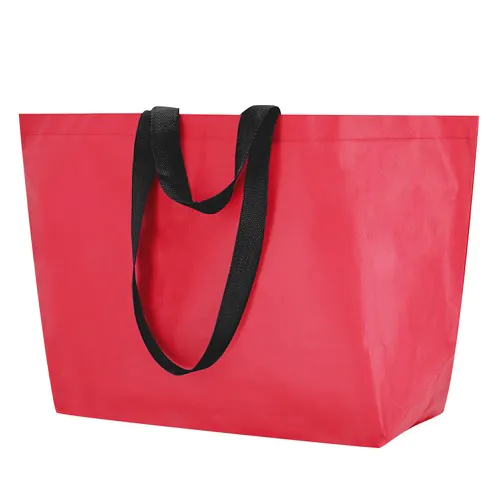 Bag Torvik