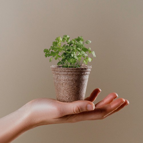 FLOWERPOT CERES FLOWERPOT CERES