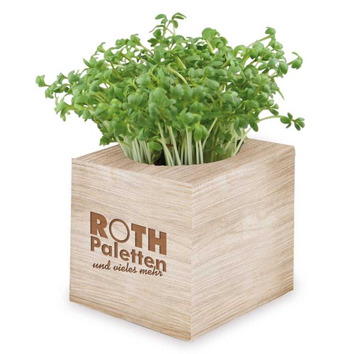 Plant-cube 2.0 with seeds - Christmas - Spruce Plant-cube 2.0 with seeds - Christmas - Spruce