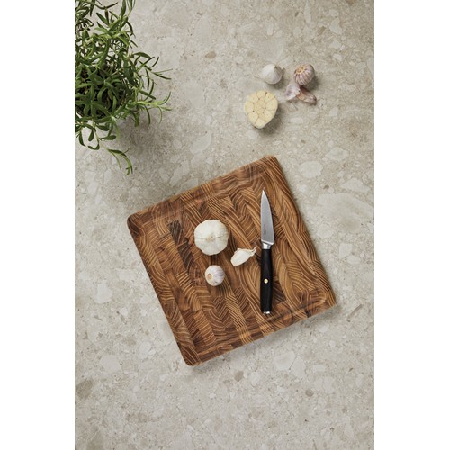 Cuchillo pelador VINGA Tara de acero