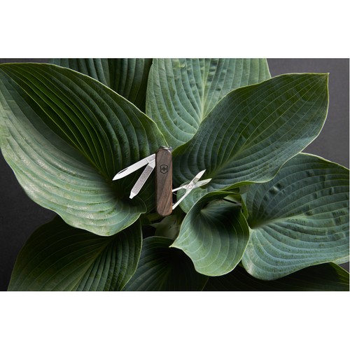 multifunctioneel zakmes