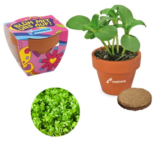 Small terracotta plant pots - Cress