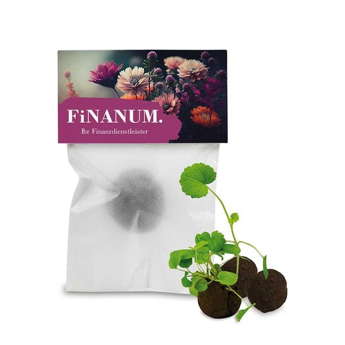 Boule-Fleurs avec graines dans un sachet en verre - 1 pièce