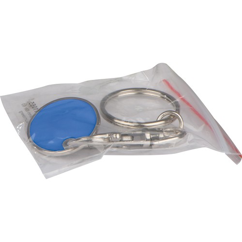 Sleutelhanger met muntje
