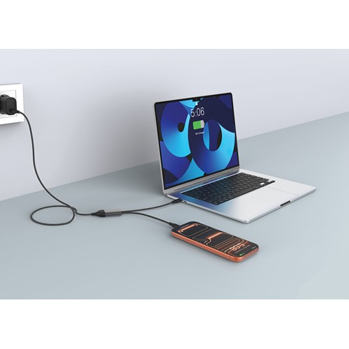 Terra 100W RCS Dual USB C output cable
