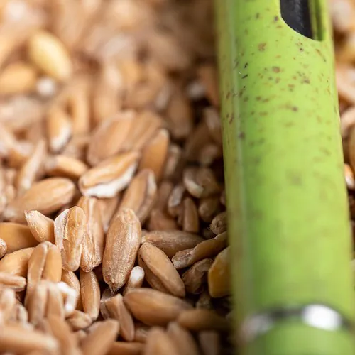 Stylo Prodox Stylo Prodox