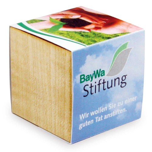 cubo publicitario