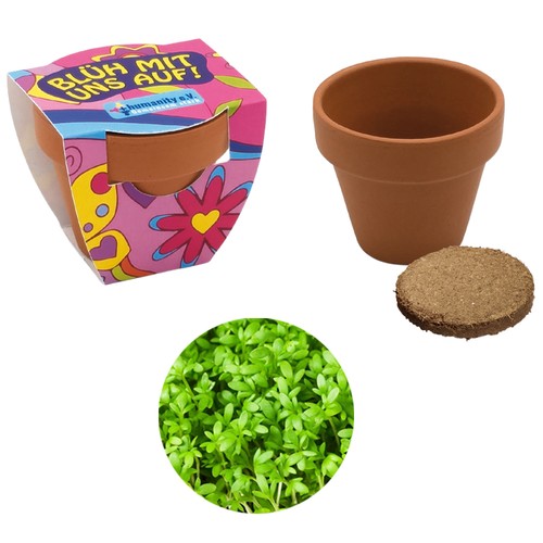 Small terracotta plant pots - Cress