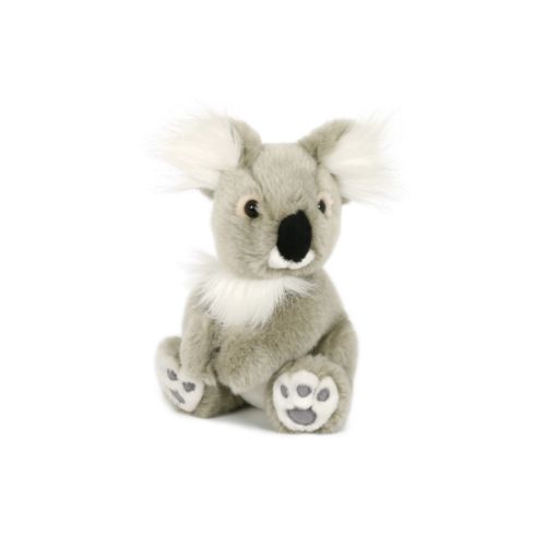 Peluche Peluche