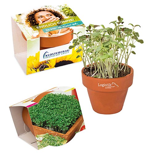 Mini logo-pot complete paper band with seeds - Cress