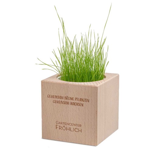 erbe aromatiche