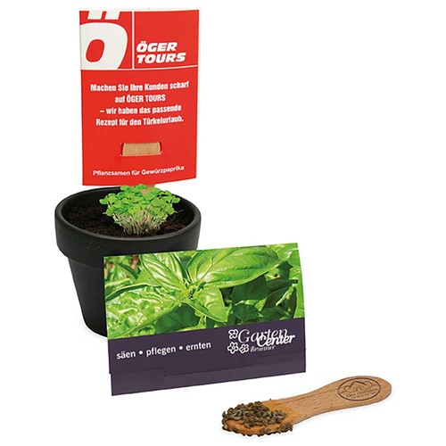 Bâtonnet de graines - Basilic Bâtonnet de graines - Basilic