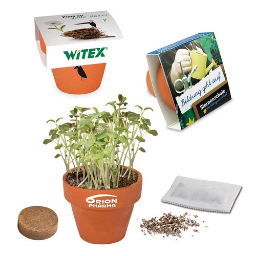 Mini logo-pot paper band with seeds - Cress