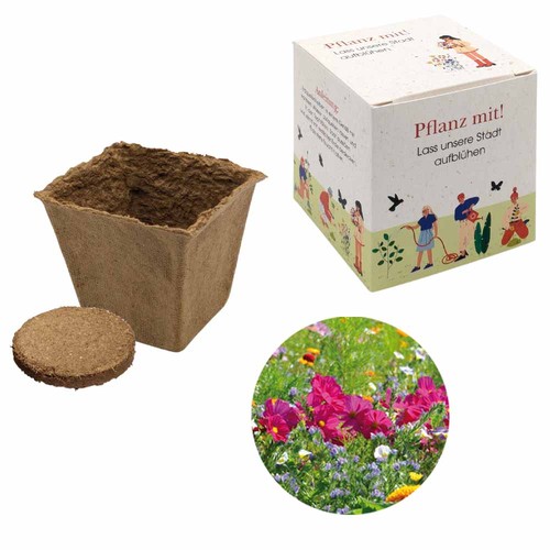 Cube-plantset (groot) - Zomerbloemenmengsel