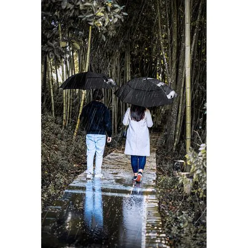 GAVIN. 27.5" Paraguas en "pongee" 190T con apertura automática