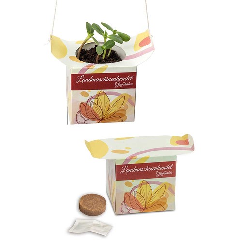 erbe aromatiche erbe aromatiche