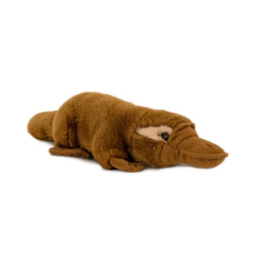 Peluche Peluche