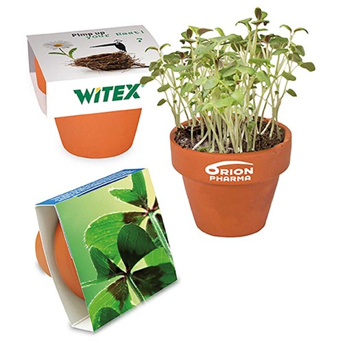 Mini pot terre cuite avec graines - Bulbes de trèfle à 4 feuilles