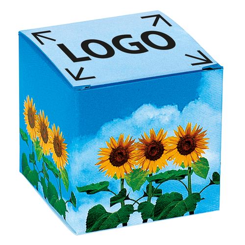 Cube Soleil Cube Soleil