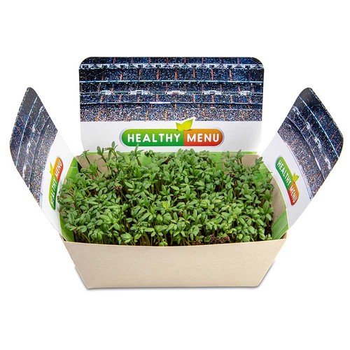 Plantodrom with seeds - Marigold