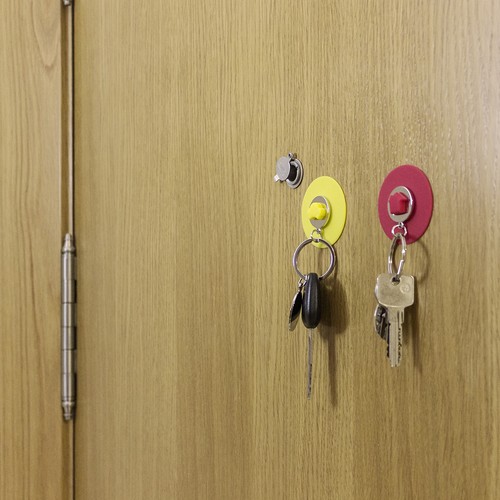 Keyring Coin Coltax Keyring Coin Coltax