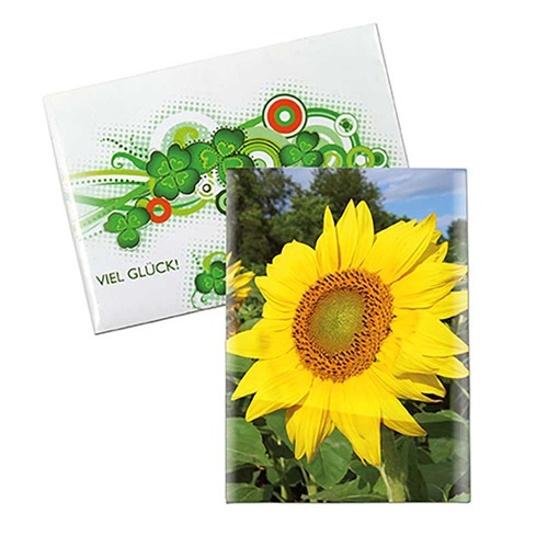 Zaadzakjes mini standaard papier - Zonnebloemen