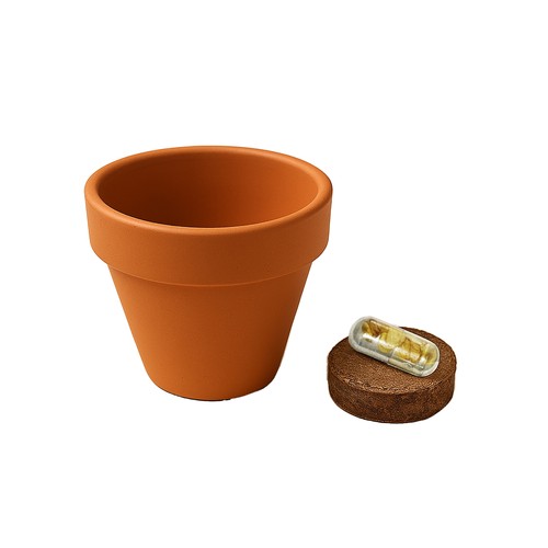 Natural terracotta pot with peat and biodegradable capsule containing seeds