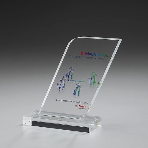 Fin Award Fin Award