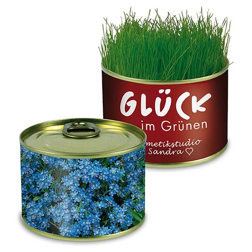 Boite de conserve Nature avec graines - Myosotis