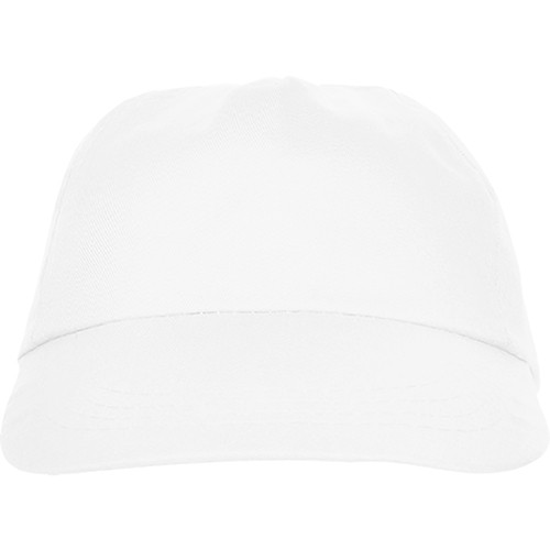 5 panels cap. BASICA
