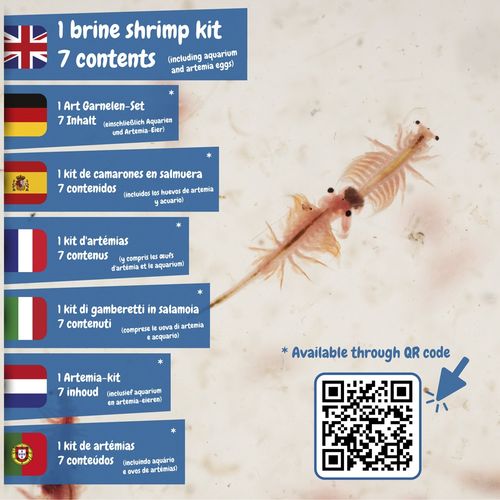 Jurassic Pets Kit I. Gra edukacyjna dla dzieci